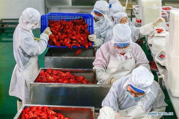Workers process crayfish in Xuyi County, east China's Jiangsu Province, June 4, 2017.  (Photo/Xinhua)