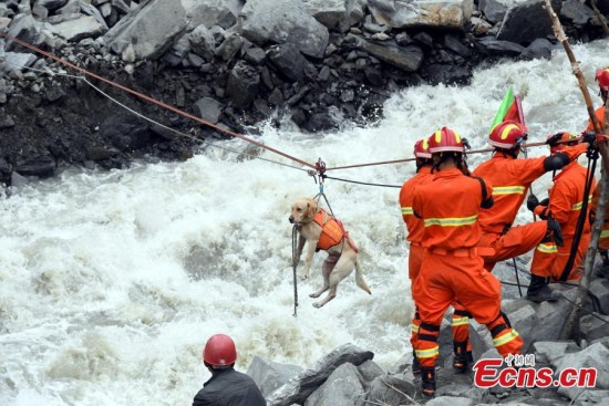 A search dog is transported across a river to help find the missing after a massive landslide in Xinmo Village in Maoxian County, Tibetan and Qiang Autonomous Prefecture of Aba, Southwest China’s Sichuan Province, June 24, 2017.  (Photo: China News Service/An Yuan)