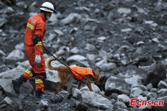 A firefighter checks a search dog helping to find the missing after a massive landslide in Xinmo Village in Maoxian County, Tibetan and Qiang Autonomous Prefecture of Aba, Southwest Chinas Sichuan Province, June 24, 2017. (Photo: China News Service/An Yuan)