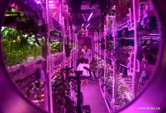 Volunteers have work handover in the simulated space cabin Yuegong-1 at Beihang University in Beijing, capital of China, July 9, 2017. (Xinhua/Zhang Chenlin)