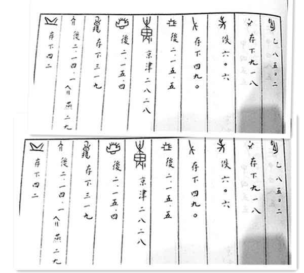 Oracle bone script to be identified (Photo/Beijing Youth Daily)