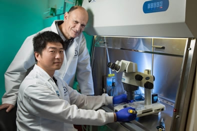 Juan Carlos Izpisua Belmonte, Professor at Salk Institute's Gene Expression Laboratory and Wu Jun (front), Salk staff scientist. (Photo/Xinhua)
