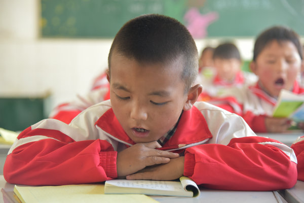 A primary school student focuses on reading a book. (Photo by ZhangXingjian/chinadaily.com.cn)