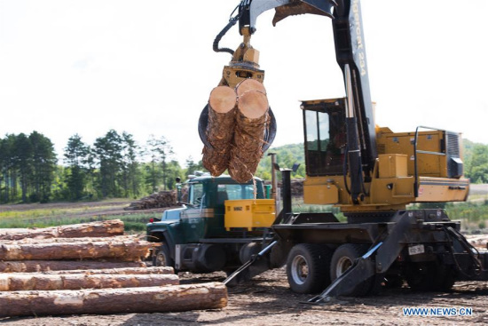 Logs are lifted for transportation at a lumber manufacturer of Murray Brothers Lumber Company in Ontario, Canada, on Aug. 16, 2017.