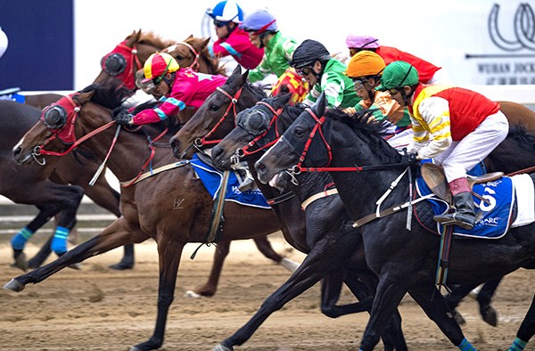 Jockeys compete in a race this year in Wuhan, Hubei province, where the local government is trying to build the country's horse racing capital. (Photo/Xinhua)