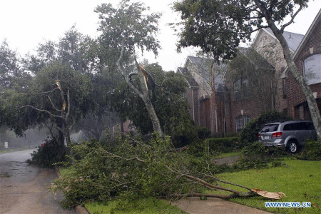 Photo taken on Aug. 26, 2017 shows the trees destroyed by Hurricane Harvey in Houston, the United States. At least one person is dead and several others injured after Hurricane Harvey made landfall on the southern coast of the U.S. state of Texas Friday night. (Xinhua/Song Qiong)