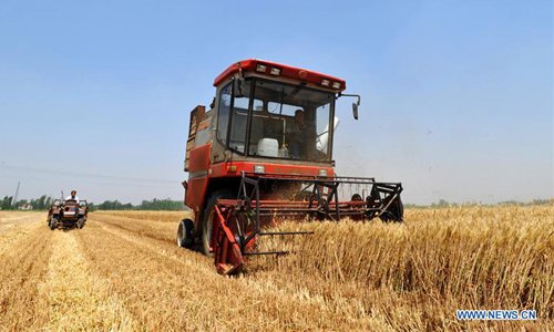 A harvester collects wheat in Nanpi County, north China's Hebei Province, June 11, 2017. More than 70 percent of summer wheat have been harvested across the country. Photo: Xinhua