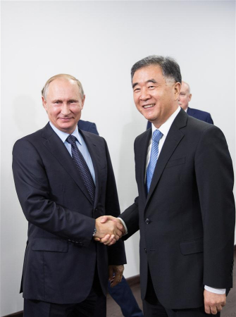 Russian President Vladimir Putin (L) meets with visiting Chinese Vice Premier Wang Yang in Vladivostok, Russia, on Sept. 6, 2017. (Xinhua/Wu Zhuang)