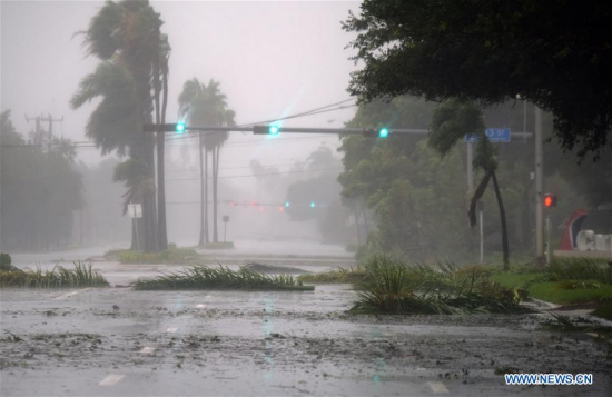 Trees and branches are seen on a street after being torn down by strong winds as hurricane Irma arrives, in Miami, Florida, the United States, on Sept. 10, 2017. (Xinhua/Yin Bogu)