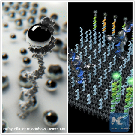 Left: Conceptual illustration of a DNA robot sorting two types of cargos. (Credit: Ella Maru Studio)  Right: Conceptual illustration of two DNA robots collectively performing a cargo-sorting task on a DNA origami surface, transporting fluorescent molecules with different colors from initially unordered locations to separated destinations. (Credit: Demin Liu)