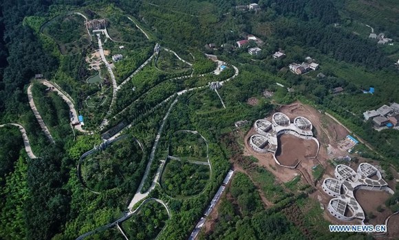 A view of the Panda paradise of the rare wild animals rescue and breeding research center in northwest China's Shaanxi Province, August 22, 2017. (Photo/Xinhua)