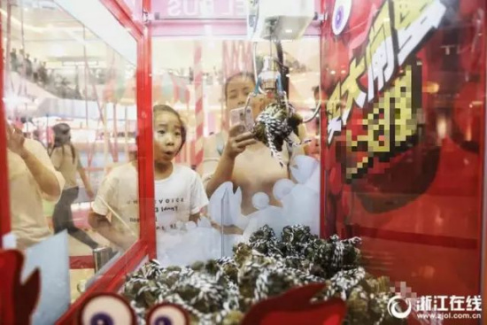 A claw game attracted crowds of curious visitors at a shopping center in Hangzhou City. (Photo/zjol.com.cn)