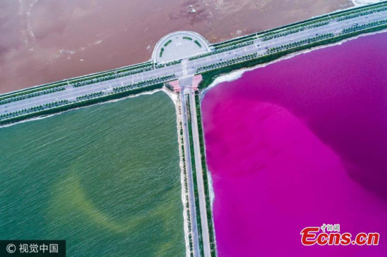 An aerial view of the salt lake in Yuncheng city, North China's Shanxi province, Sept 15, 2017. As the temperatures drop in autumn, different colors start to appear on the surface of the lake, making it a spectacular scene as a double-flavor hot pot. (Photo/VCG)