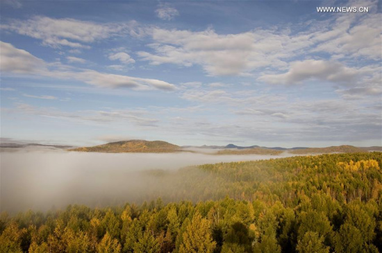 Photo taken on Sept. 20, 2017 shows the forests in Hulun Buir, north China's Inner Mongolia Autonomous Region. (Xinhua/Yu Changjun)