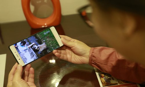 A woman is watching pandas on a live-streaming platform. (Photo: Li Hao/GT)