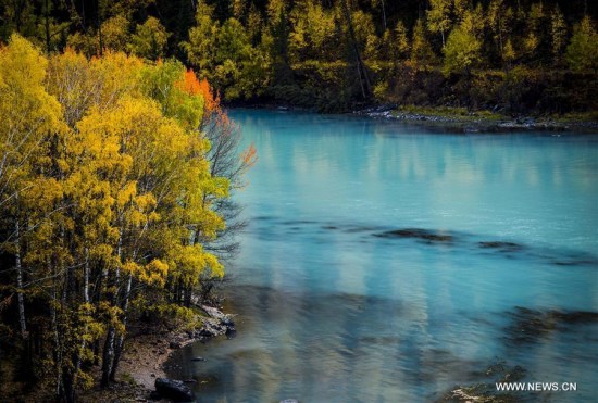 Photo taken on Sept. 22, 2017 shows the autumn scenery of the Wolong River in the Kanas scenic area, northwest China's Xinjiang Uygur Autonomous Region. (Xinhua/Zhao Ge)