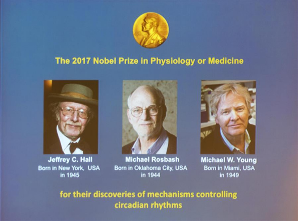 Photos of the three awarded scientists are seen at a press conference in Stockholm, Sweden, Oct. 2, 2017. Three scientists share 2017 Nobel Prize in Physiology or Medicine, the Nobel Committee announced on Monday in Stockholm. The Nobel assembly at the Karolinska Institute has decided to award the 2017 physiology or medicine prize jointly to Jeffrey C. Hall, Michael Rosbash and Michael W. Young for their discoveries of molecular mechanisms controlling the circadian rhythm. (Xinhua/Shi Tiansheng)