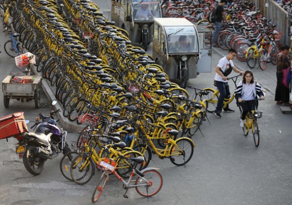 Shared bikes near a subway station in Beijing. (Photo by Zhu Xingxin/China Daily)