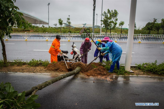 Sanitation workers remove a tree blown down by Typhoon Khanun in Zhanjiang, south China's Guangdong Province, Oct. 16, 2017. (Xinhua/Zhang Ruoxuan)
