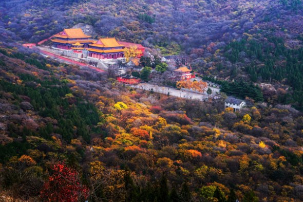 Xiangshan Mountain has become a forestry park as a result of decades of tree-planting projects by the local government. (Photo/China Daily)