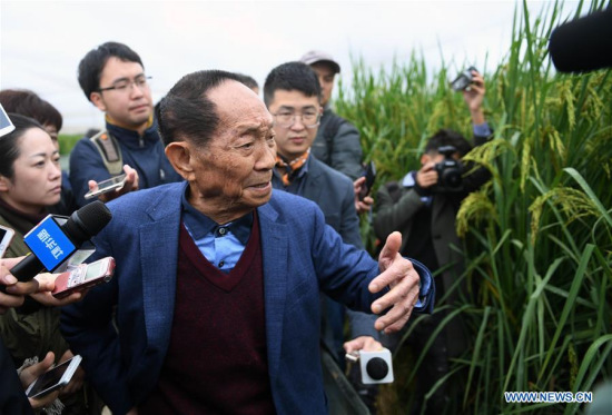 China's Father of Hybrid Rice Yuan Longping receives an interview at an experimental field of 'giant' rice in Jinjing Township of Changsha County, central China's Hunan Province, Oct. 16, 2017. (Xinhua/Li Ga)