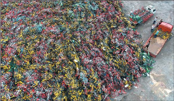 Trucks deliver impounded bikes to a storage facility in Shanghai after authorities had them removed from the city's streets. ( Photo: China Daily/Gao Erqiang)