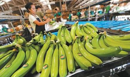 From bananas to maids, Chinese demand for Philippine specialties expands