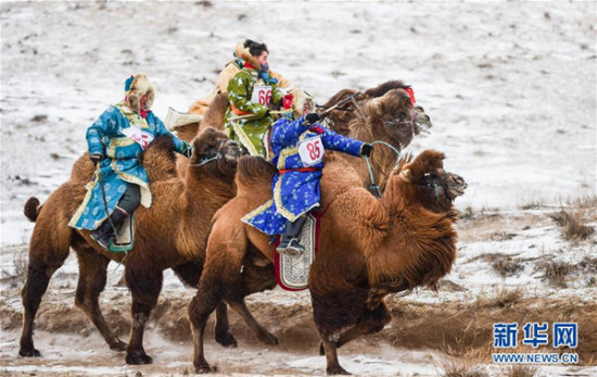 Men ride camels in traditional Mongolian costumes at the Naadam festival held in Xi Ujimqin Banner, a banner under the administration of Xilin Gol League, Inner Mongolia autonomous region, Jan 9, 2017. [Photo/Xinhua]