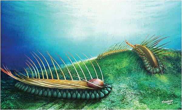 An artist's impression of Orthrozanclus elongata. (Photo provided to chinadaily.com.cn)