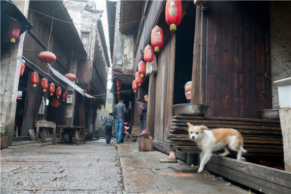 Tu Yuanqing runs his family teahouse in Maming village, a 30-minute drive from the ancient water town of Wuzhen. (Photo by Alywin Chew and Gao Erqiang/China Daily)