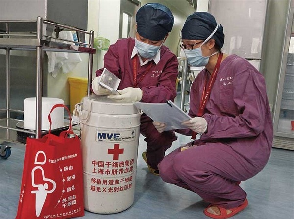 China Stem Cell Group staff are checking the information of the umbilical cord blood hematopoietic stem cell. (Ti Gong)