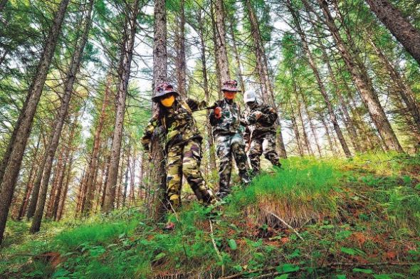 Rangers patrol the woodland. (Zou Hong/China Daily)
