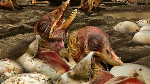 (Photo/Video screenshot from CGTN)