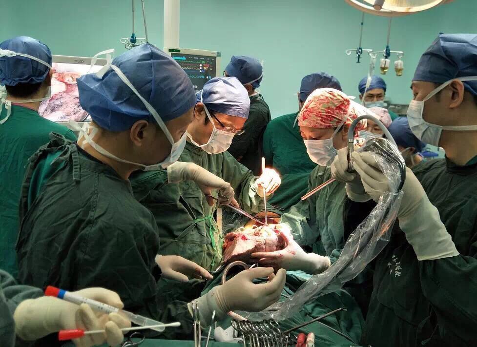 A lung transplant surgery is performed at Wuhan University People��s Hospital after a 12-hour delivery covering 1,200 kilometers. (Photo provided to chinadaily.com.cn)