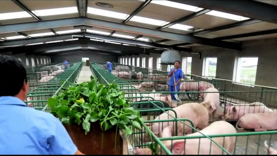 For the world's most populous nation, tackling pollution in rural areas, especially pollution from agricultural sources, will be a top priority in the coming years. /CGTN Photo