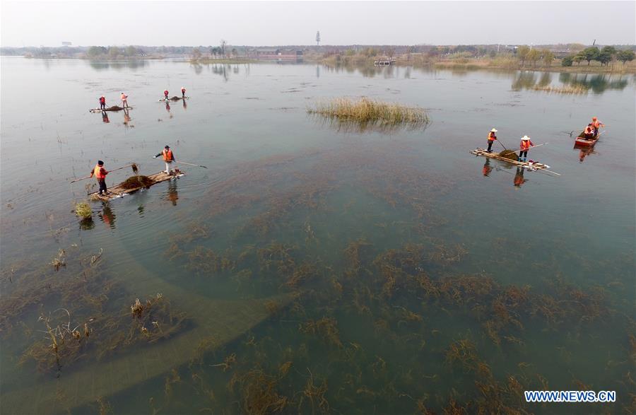 Sanitation staff work at the Gonghuwan wetland park in Wuxi, a city of Taihu Lake basin in east China's Jiangsu Province, Dec. 7, 2017. China has made strides in rolling out a river chief system nationwide amid efforts to tackle water pollution. Since the top leadership decided to assign each waterway in the country a specific steward, more than 900,000 river chiefs have been appointed at each level of government nationwide. By the end of 2017, the river chief mechanism has been established in Taihu Lake basin. (Xinhua/Li He)