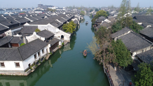 A man rows a boat on a river in Wuzhen water town in Zhejiang province last year. (Photo by LIANG ZHEN/FOR CHINA DAILY)