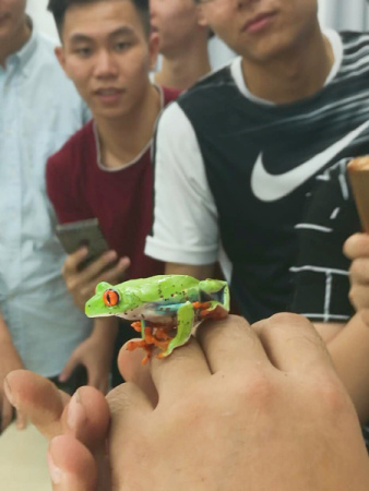 A red-eyed tree frog is used as a teaching aid at Zhang Meng's class at the Dalian Maritime University. (Photo/China Daily