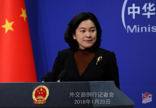 Chinese Foreign Ministry spokesperson Hua Chunying. (Photo/fmprc.gov.cn)