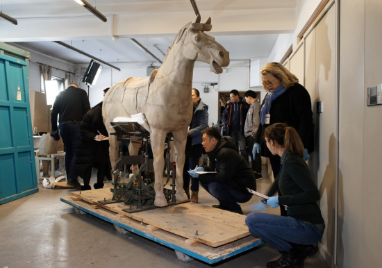 Cavalry horse, Qin Dynasty. (Photo: CGTN/Qiu Ziyu)