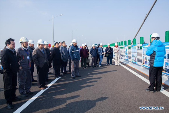 Representatives inspect the site of the sea bridge which links Hong Kong, Zhuhai and Macao in south China, Feb. 6, 2018.  (Photo/Xinhua)