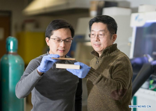 Associate Professor Liangbing Hu (L) and Professor Teng Li of the University of Maryland compare a piece of compressed wood (Top, C) to its original form (Bottom, C) at the University of Maryland, Maryland, the United States, on Feb. 2, 2018.(Xinhua/Hua Xie) 