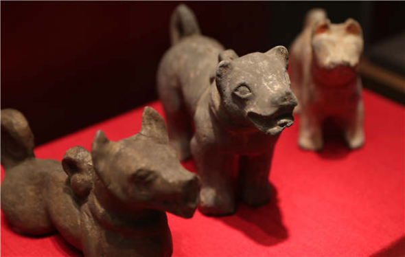 The museum will host another show to welcome the Year of the Dog. (Photo by Zou Hong/China Daily)
