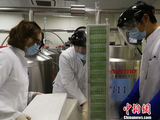 The scientists work in the laboratory. Photo China News Service/Xu Jing