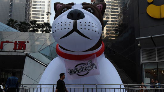 A giant dog balloon with a banner saying save single dogs on its neck was seen in southwest Chinas Chongqing Municipality in last November. /Chinanews Photo