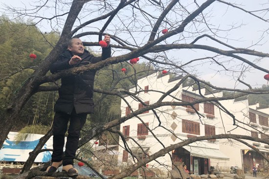 Xu Lianfa hangs red lanterns on a tree to mark Spring Festival. (Photo by Ma Zhenhuan/China Daily)