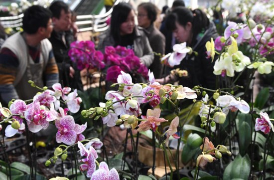 People select flowers at a flower market in Kunming, Yunnan province. This year witnessed a decline of fresh flowers trade volume but a higher price. [Photo/Xinhua]