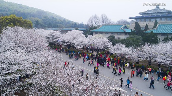 Visitors flock to the cherry blossom garden at Wuhan University in Wuhan, Hubei province, March 18, 2017. (Photo/Xinhua)
