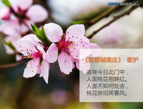 (Photo/chinadaily.com.cn)