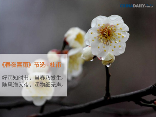 (Photo/chinadaily.com.cn)